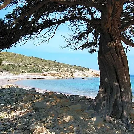 Calypso Hotel